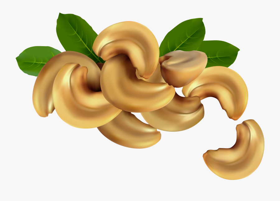 Cashew Nuts Png Clipart Image - Cashew Nut Vector, Transparent Clipart