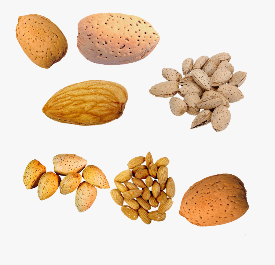 Nut U Cu Du - Almond In Peach Nut, Transparent Clipart