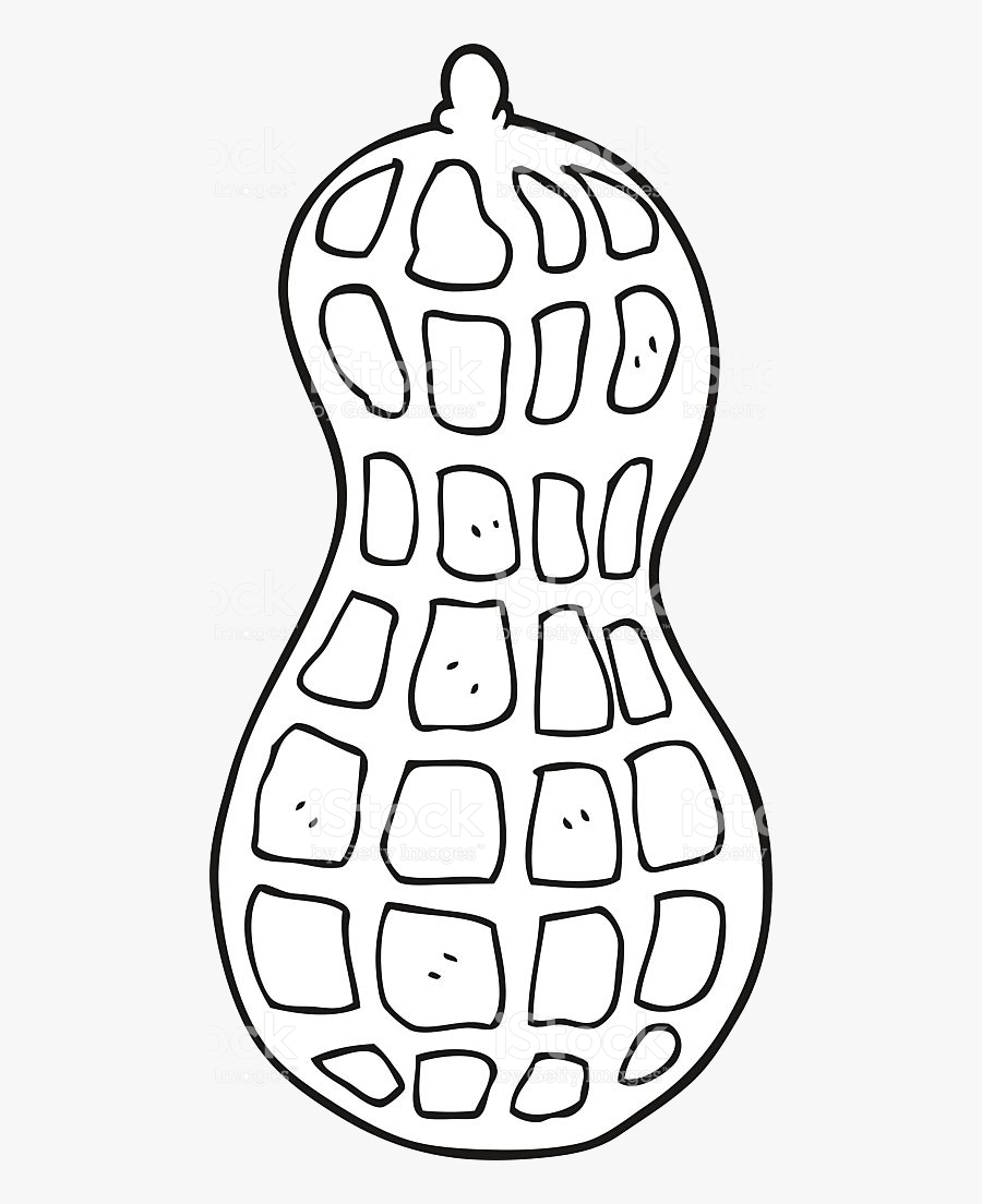 Peanut Clipart Black And White Transparent Png Black And White Peanut
