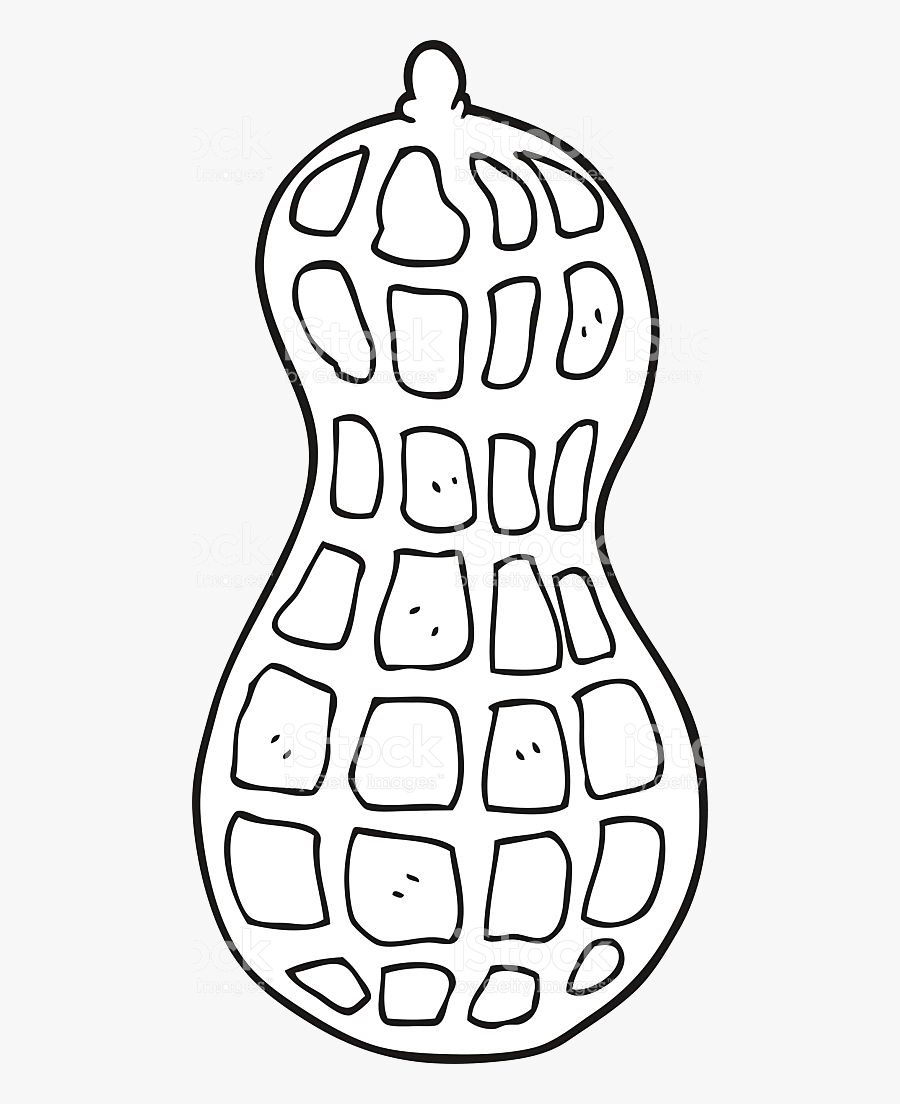 Peanut Clipart Black And White Transparent Png - Black And White Peanut Clip Art, Transparent Clipart