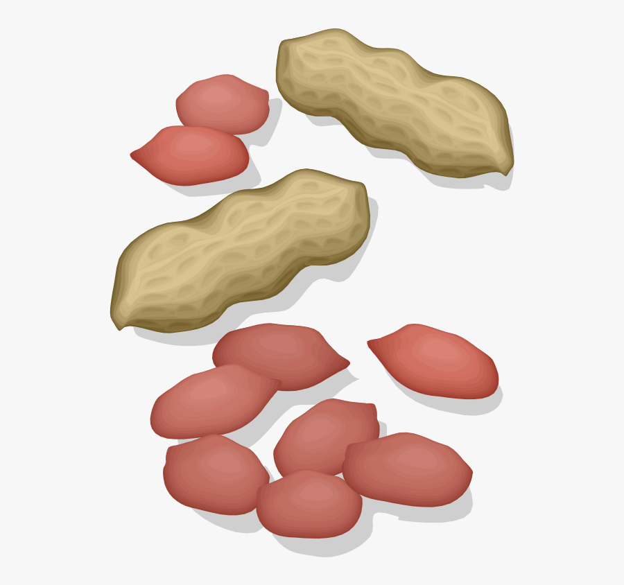 Food,peanut,maafe - Kacang Tanah Kartun Png, Transparent Clipart