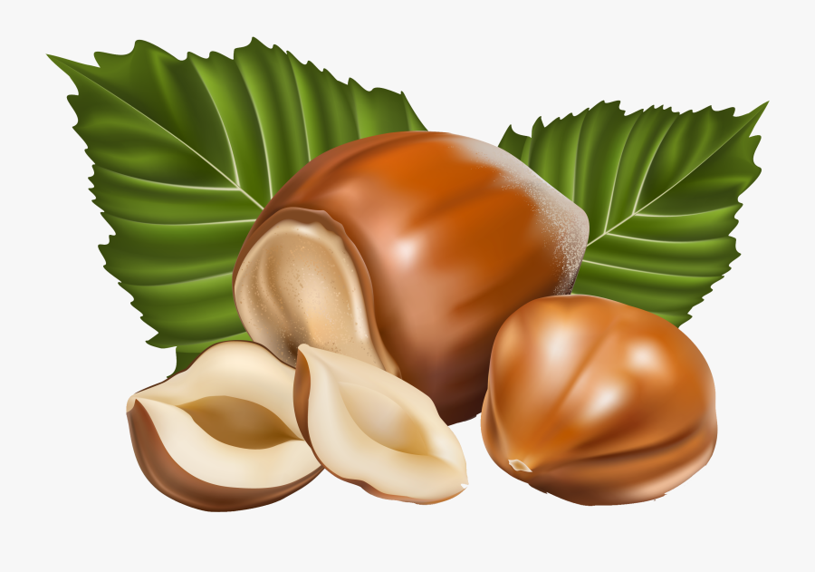 Png Picture Gallery Yopriceville - Nuts Vector, Transparent Clipart