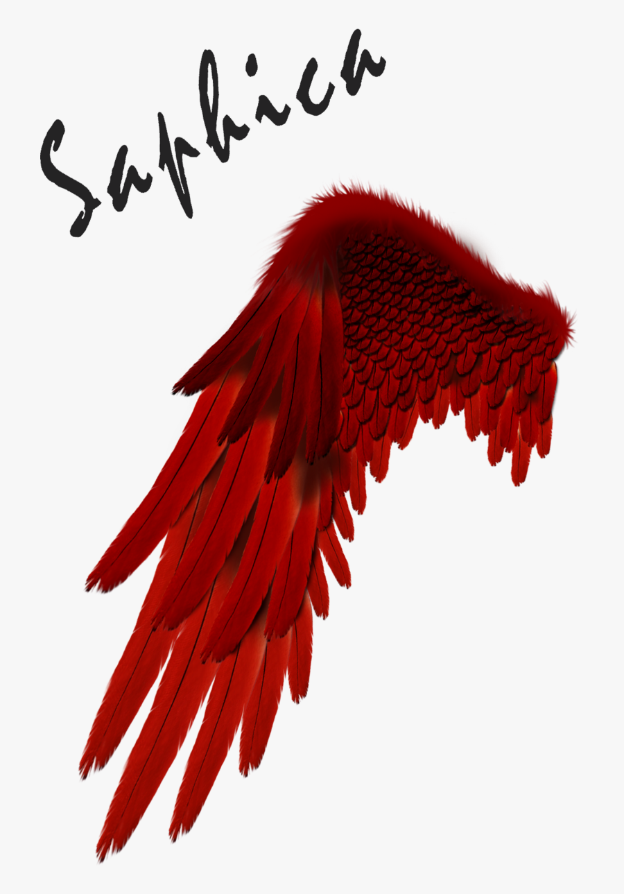 Free Download Devil Clipart Devil Angel Demon - Red Angel Wings Transparent, Transparent Clipart