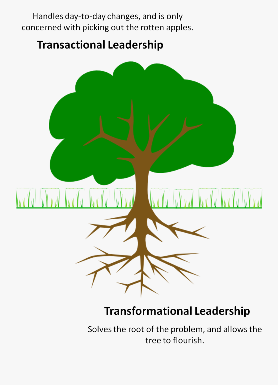 Leadership Clipart Transformational - Clipart Parts Of The Tree, Transparent Clipart