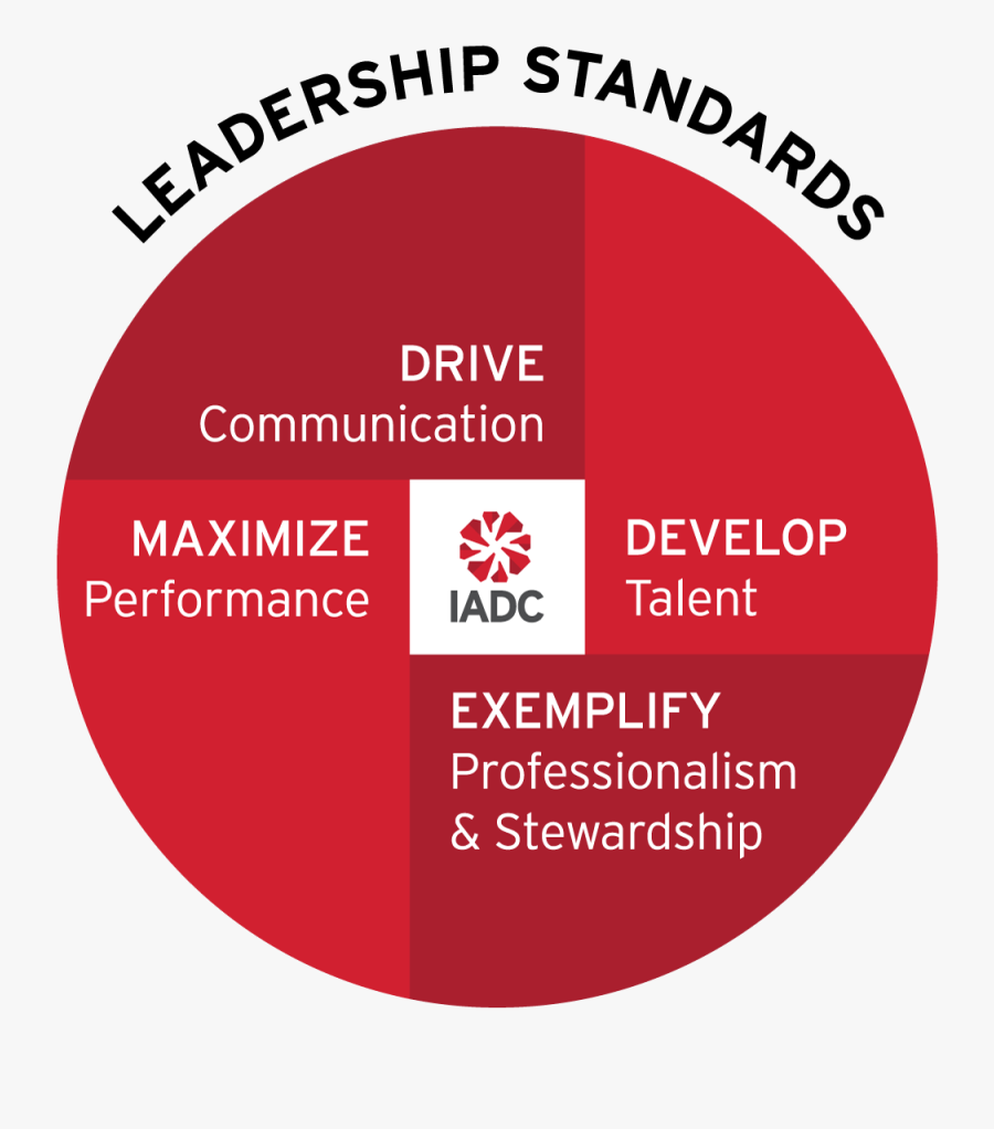 Circle, Transparent Clipart