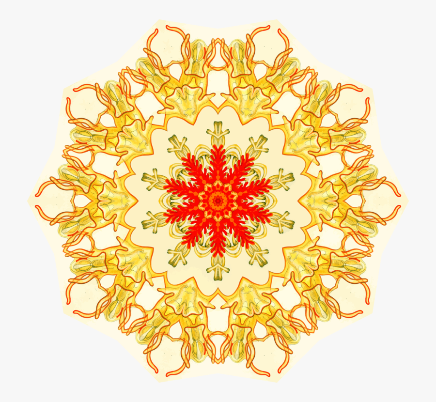 Orange,symmetry,yellow - Happy 55th Wedding Anniversary, Transparent Clipart