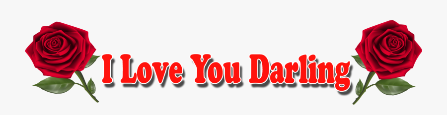 Transparent Happy Anniversary Png, Transparent Clipart