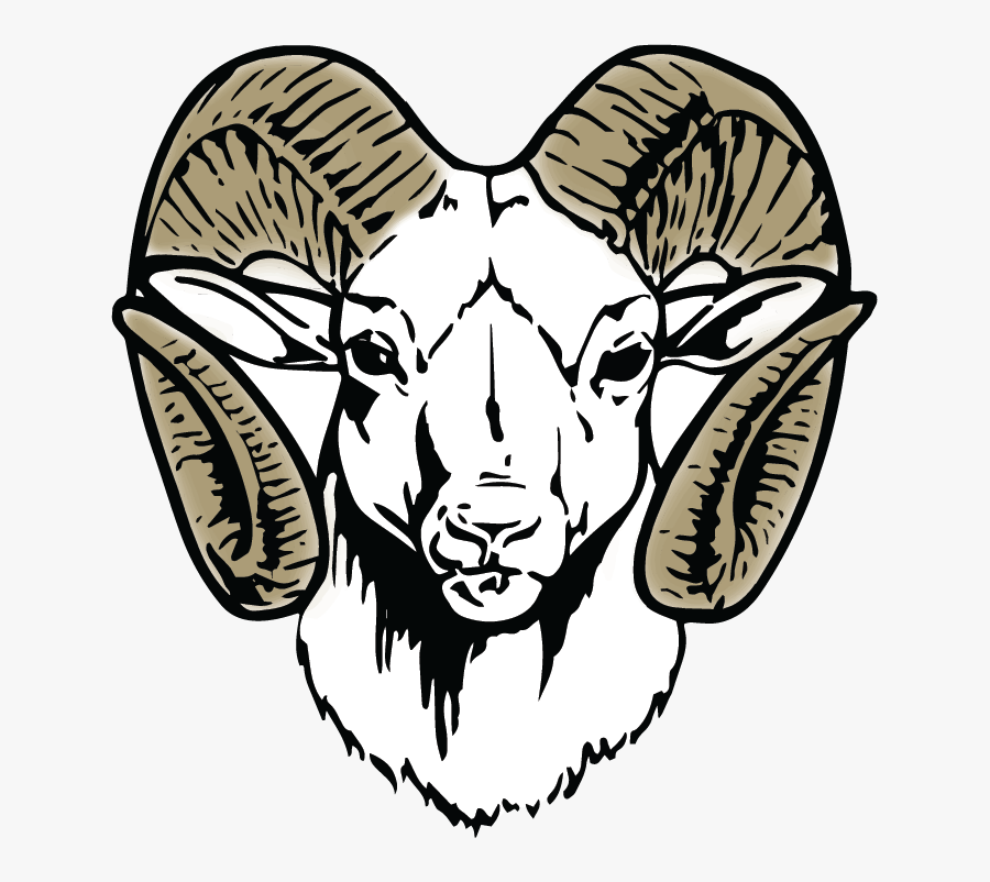 Argali,sheep,head,line Art,goat Antelope,wing,black - Newton County High School Mascot, Transparent Clipart