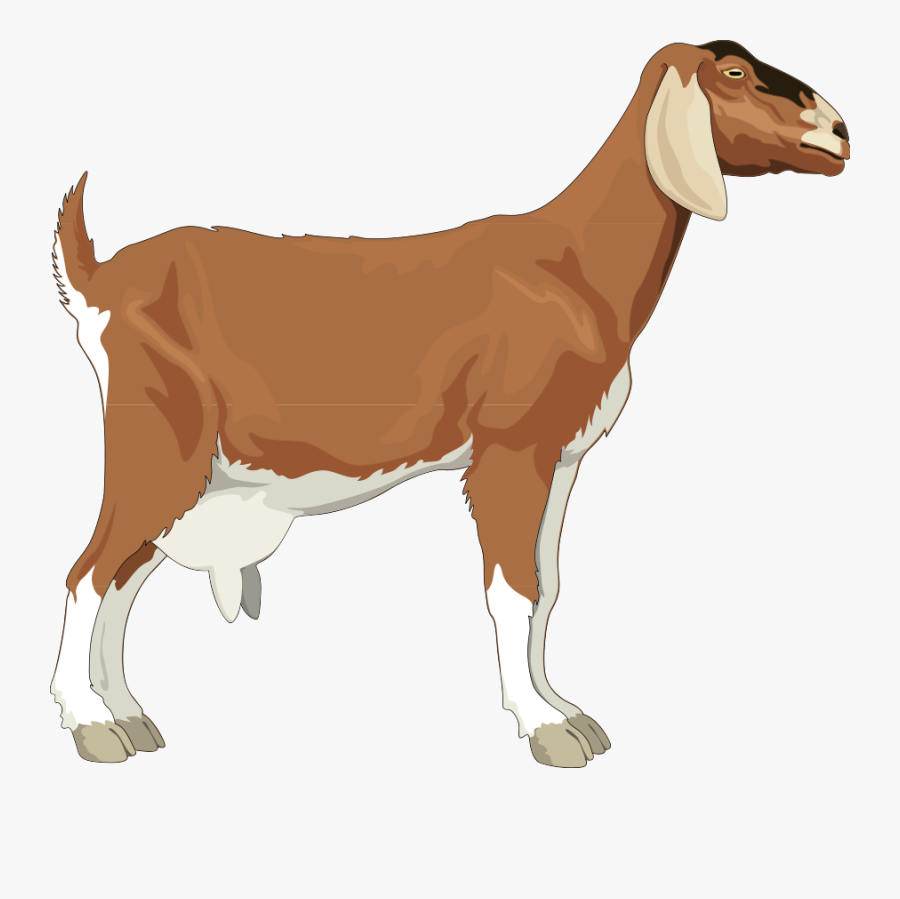 Goat Clipart, Transparent Clipart