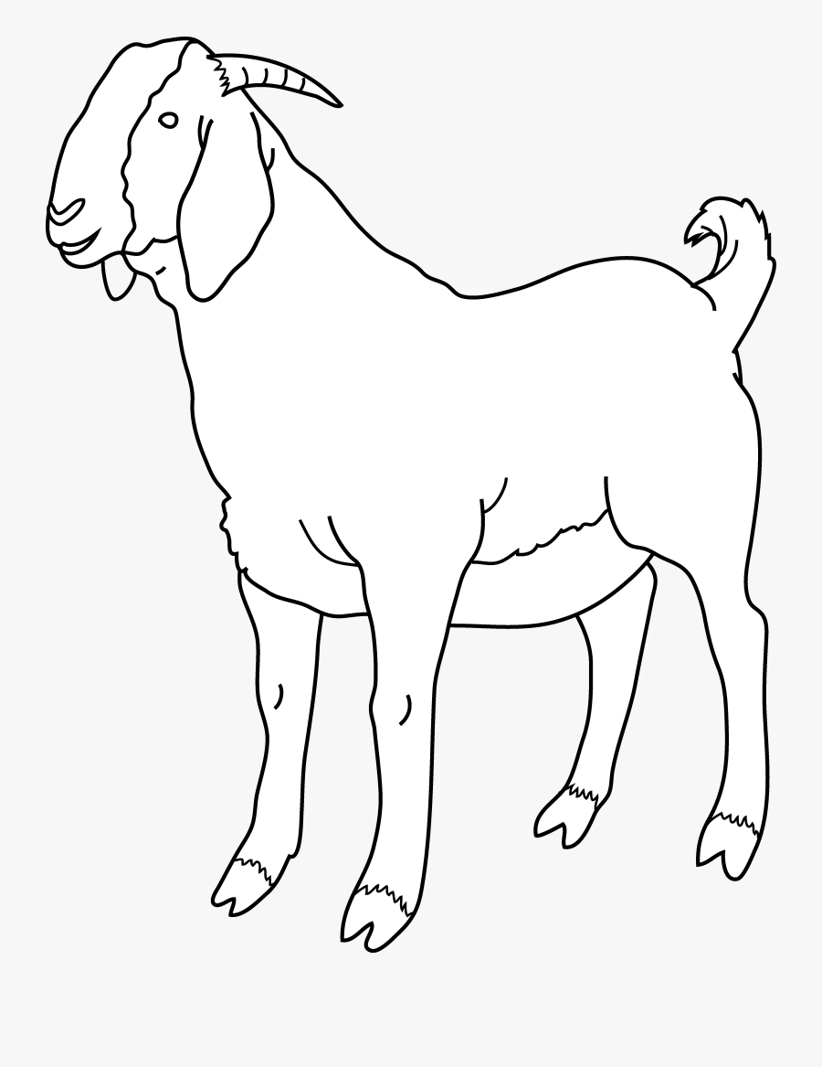 Goat Coloring Page Free Clip Art - Black And White Goat Clipart, Transparent Clipart