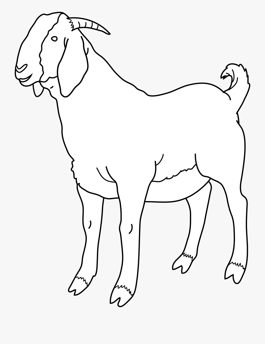 Download Goat Coloring Page Free Clip Art - Black And White Goat Clipart , Free Transparent Clipart ...