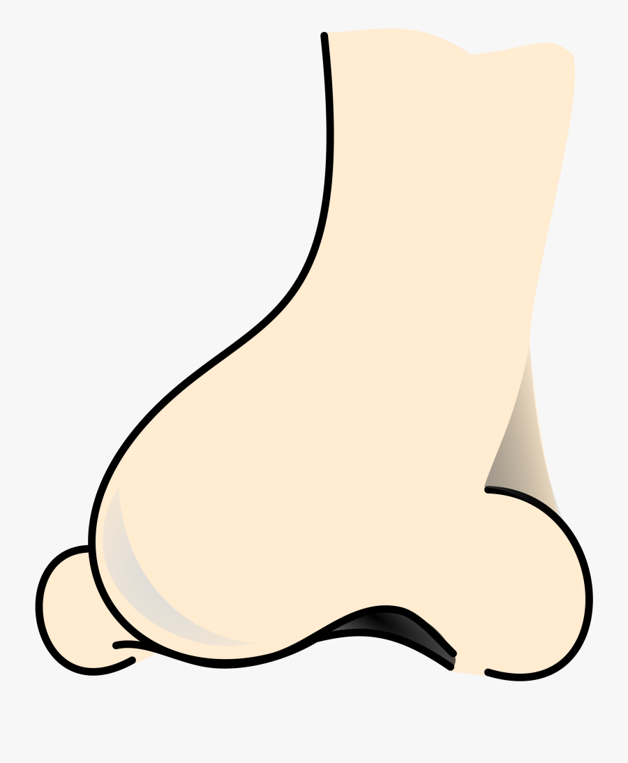 Collections At Sccpre Cat - Nose Colored Clipart, Transparent Clipart