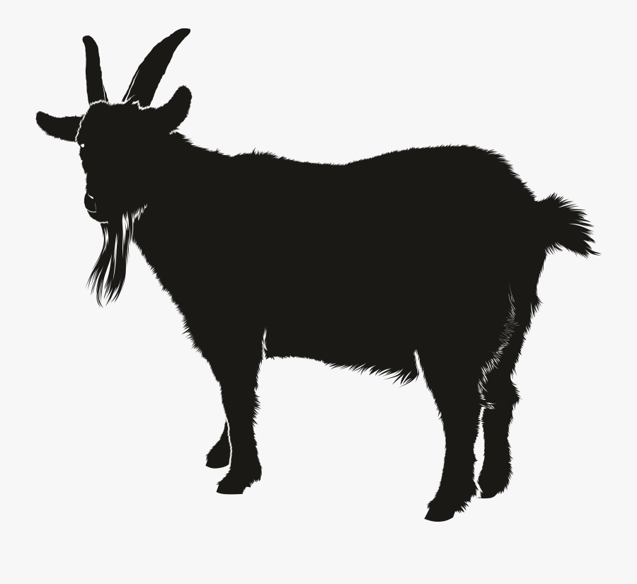 Boer Goat Silhouette Clip Art - Vector Goat Png, Transparent Clipart