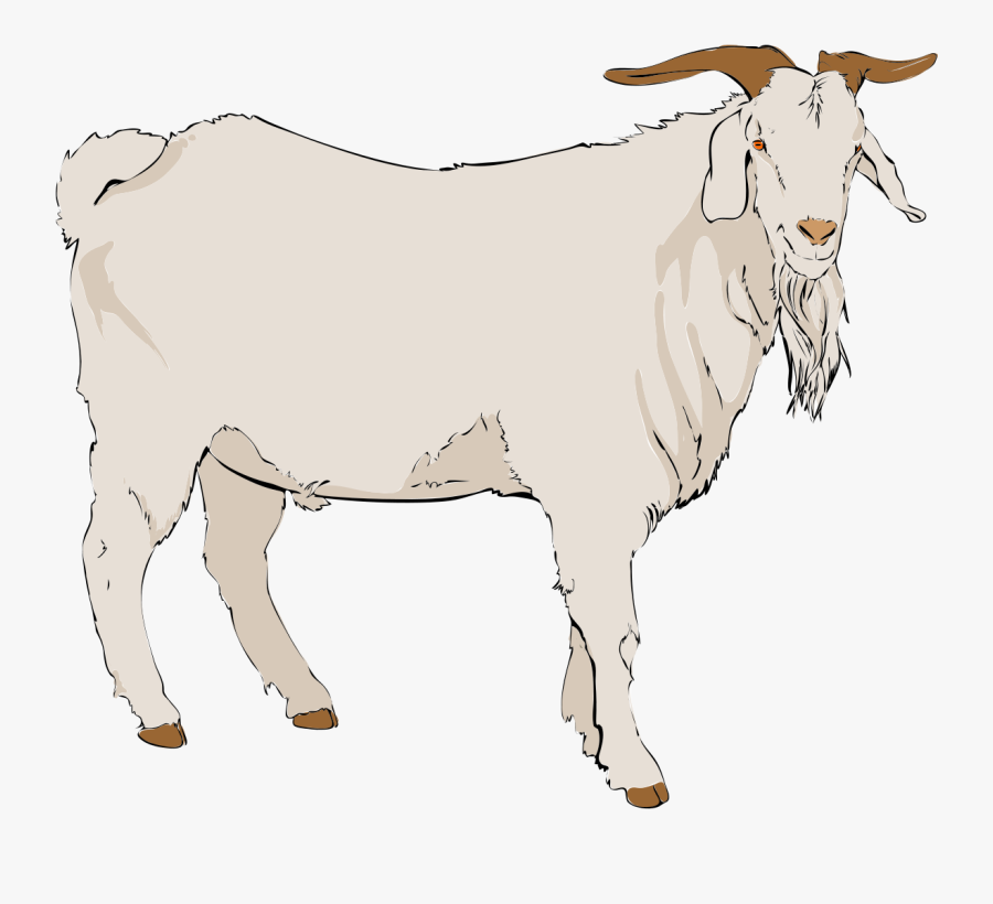 Goat Clipart - Goat Clipart Png, Transparent Clipart