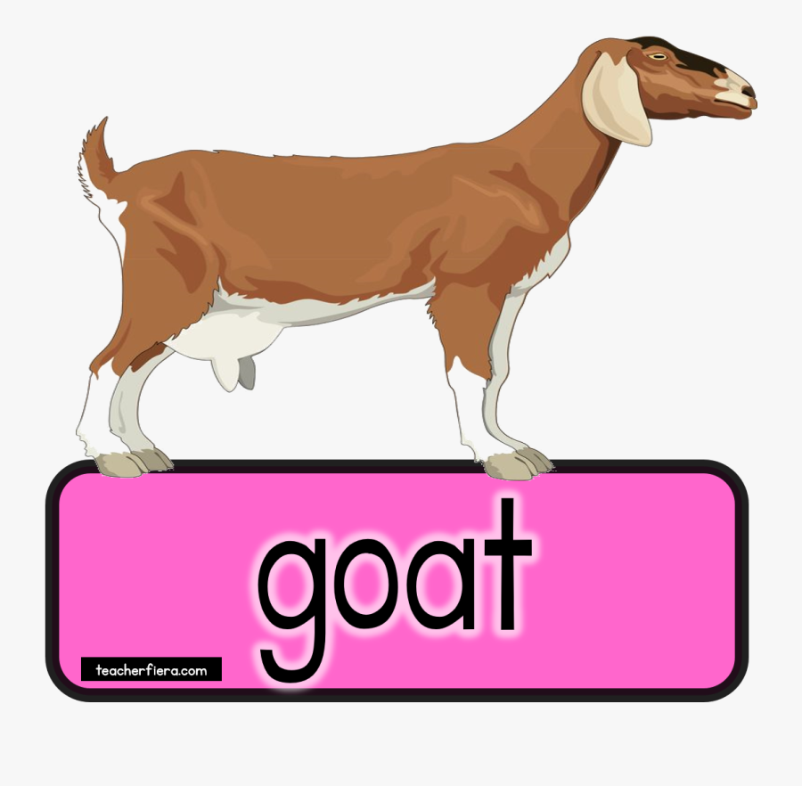 Goat Clipart Bakri - Bakri Png, Transparent Clipart