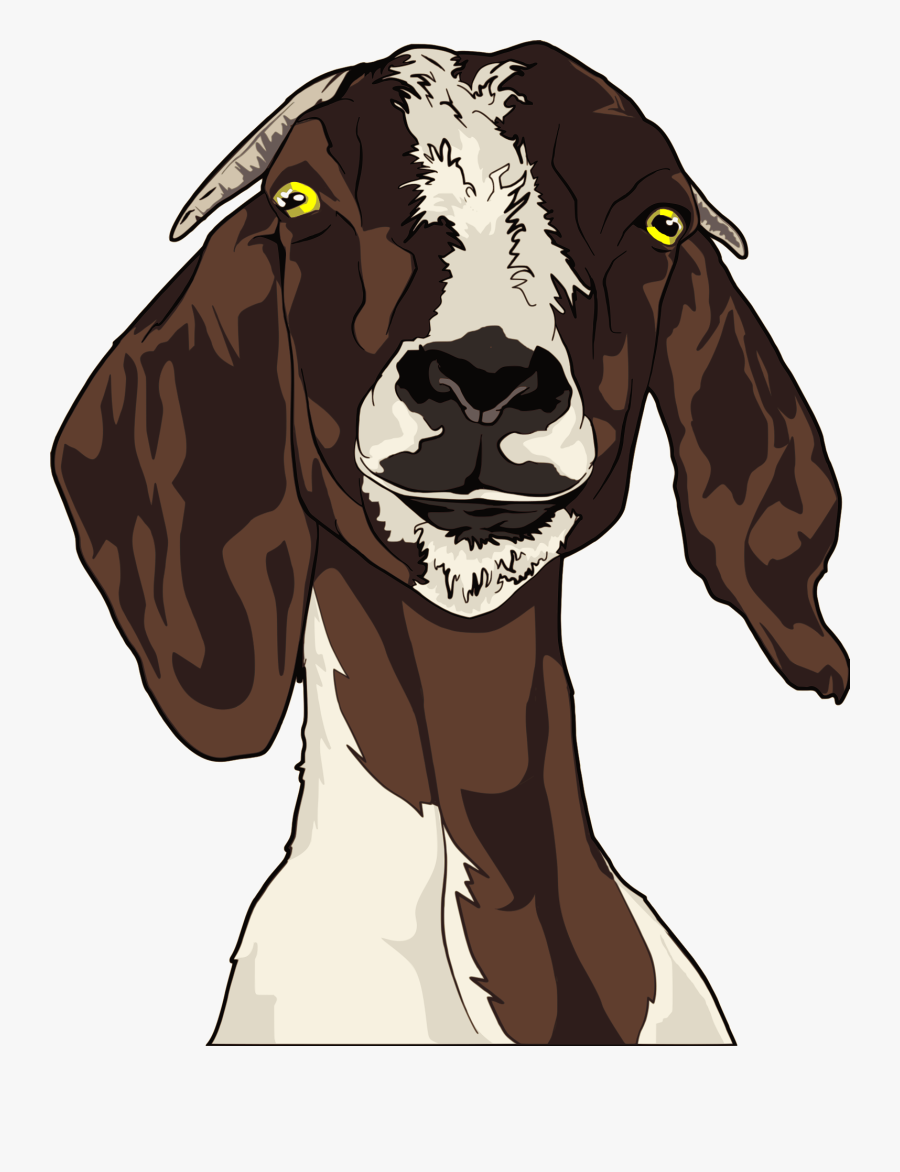 Head,cattle Like Mammal,goat Antelope - Goat Head Clipart, Transparent Clipart