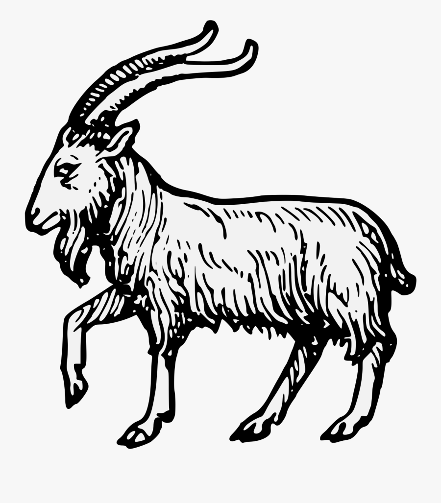 Antelope,line Art,horn,feral Goat,cow Goat Family,head,clip - Goat Passant, Transparent Clipart