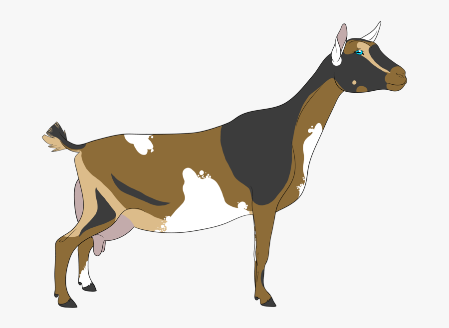 Free Pygmy Goat Cliparts, Download Free Clip Art, Free - Goat, Transparent Clipart