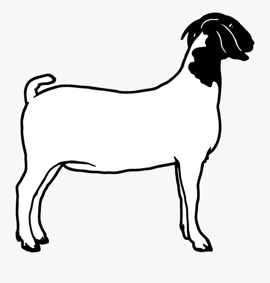 Goat Dairy Goats Clip Art Danaspda Top Transparent - Boer Goat Clip Art, Transparent Clipart