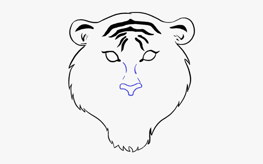 Draw A White Tigers Face, Transparent Clipart