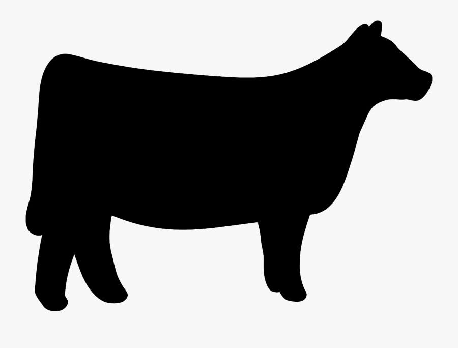 Clip Art Cow Clipart Heifer Pictures - Heifer Show Cattle Silhouette, Transparent Clipart