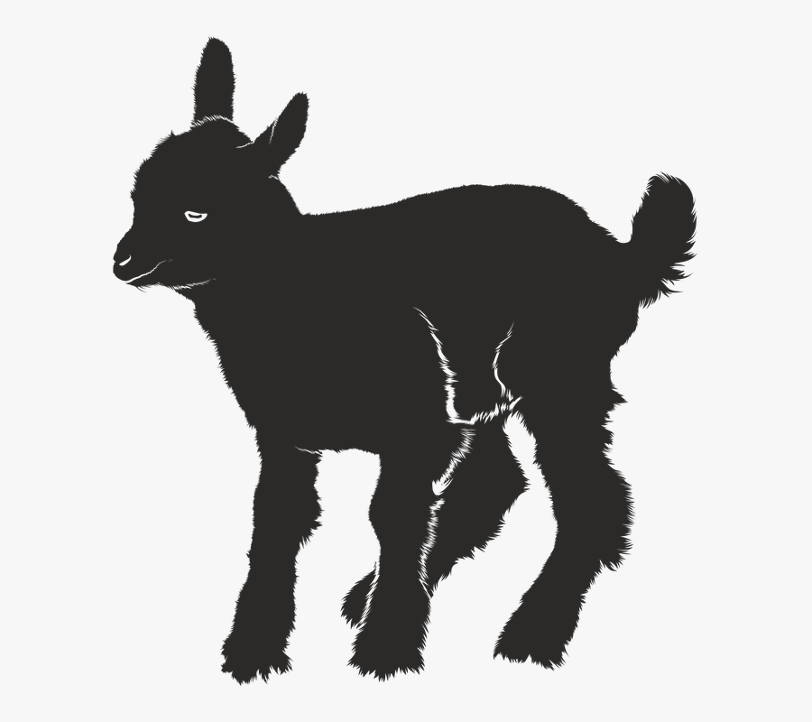 Goats,silhouette,clip - Baby Goat Goat Silhouette, Transparent Clipart