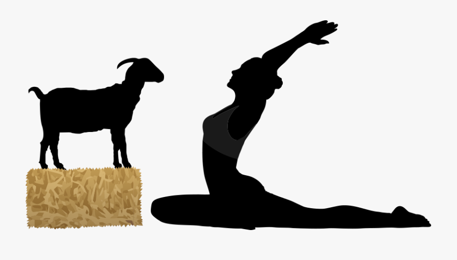 Have Ya Herd Yoga - Silhouette Pilates, Transparent Clipart