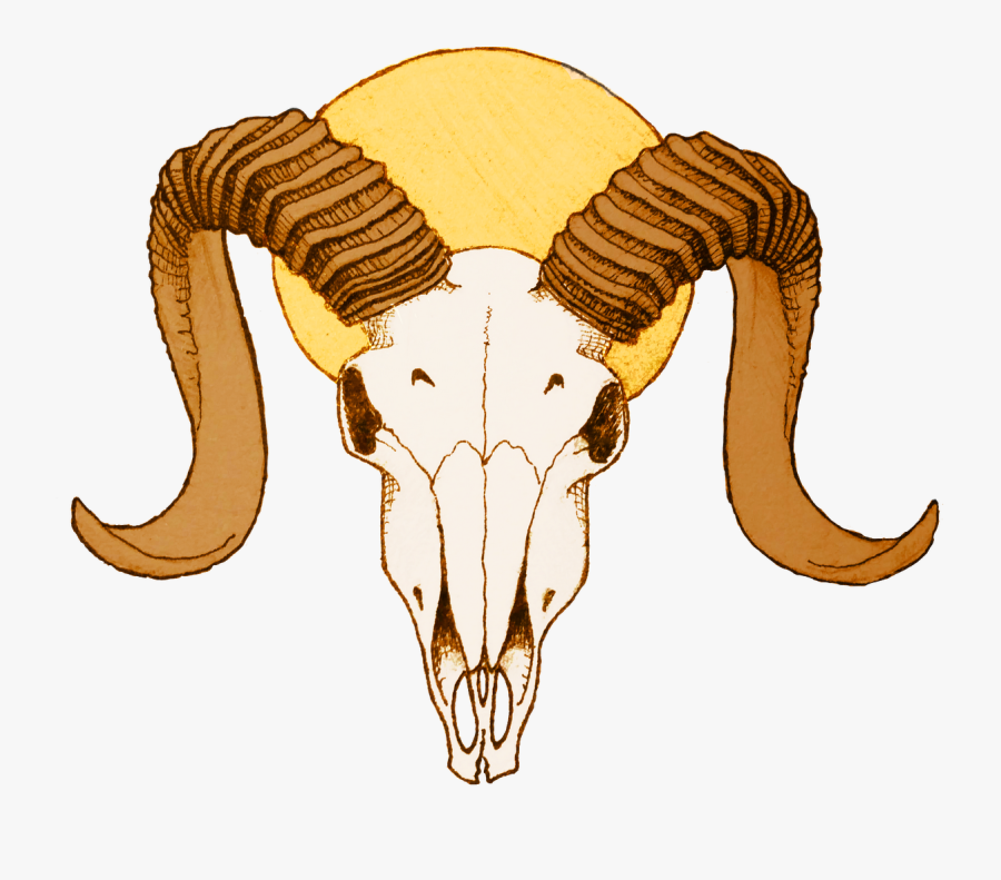 Goat Animal,clip Antelope - Ram Skull Png, Transparent Clipart