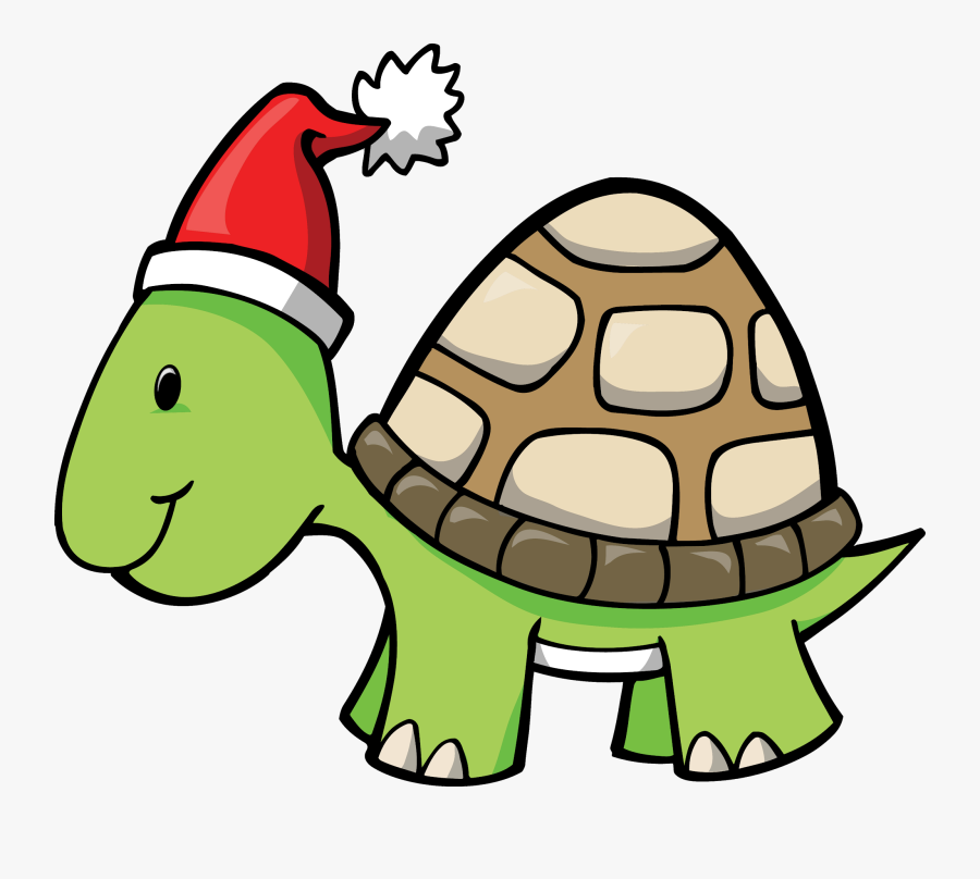 Transparent Turtle Cartoon Png - Schildkröte Comic Weihnachten, Transparent Clipart