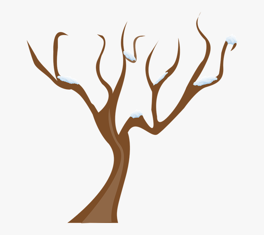 Winter Snow Clipart Cool - Tree Without Leaves Vector Png, Transparent Clipart