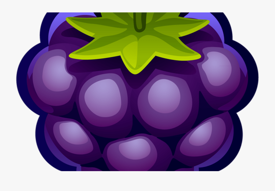 Collection Of Free Vector Wreath Blueberry Download - Transparent Background Raspberry Clipart, Transparent Clipart