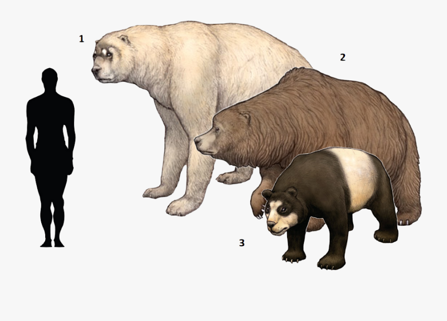 Extinct Clipart Ice Age Animal - Cave Bear Short Faced Bear, Transparent Clipart