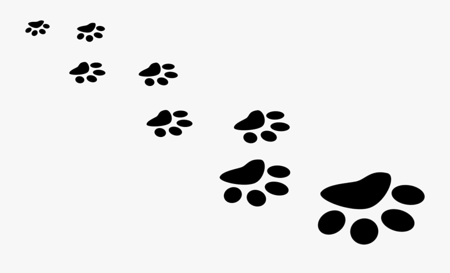 Paw Print Puppy Prints Clipart Free Best Transparent - Clip Art Cat Paw Prints, Transparent Clipart