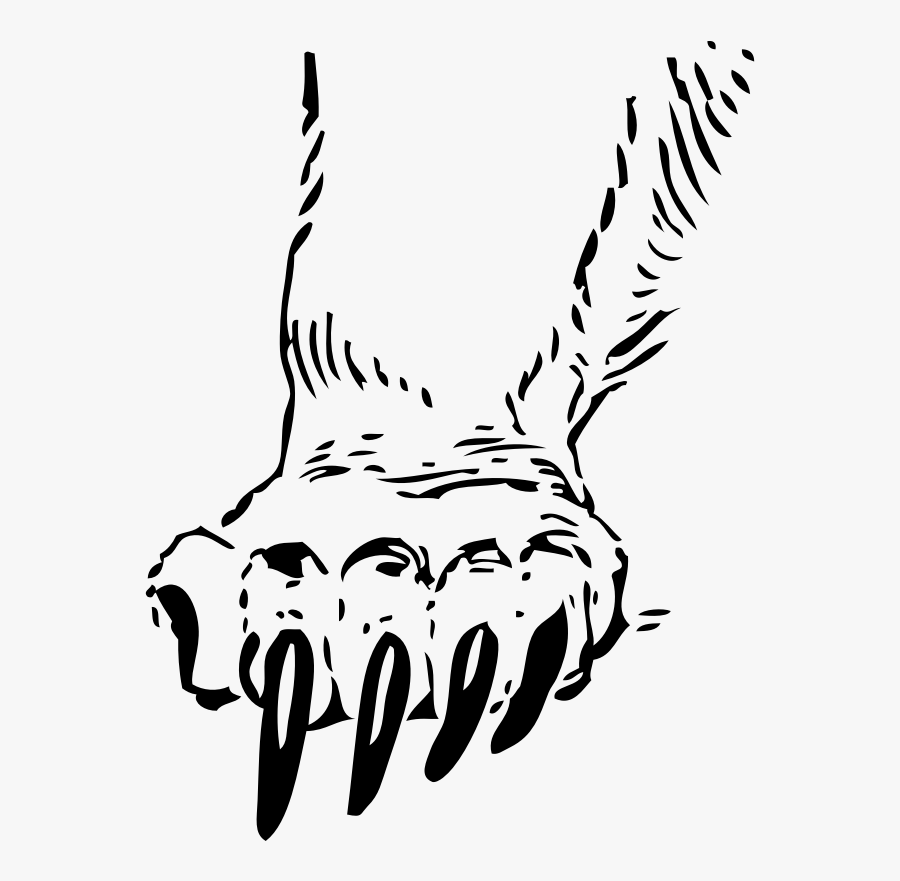 Grizzly Paw Clipart, Vector Clip Art Online, Royalty - Lion Paw Clipart Black And White, Transparent Clipart