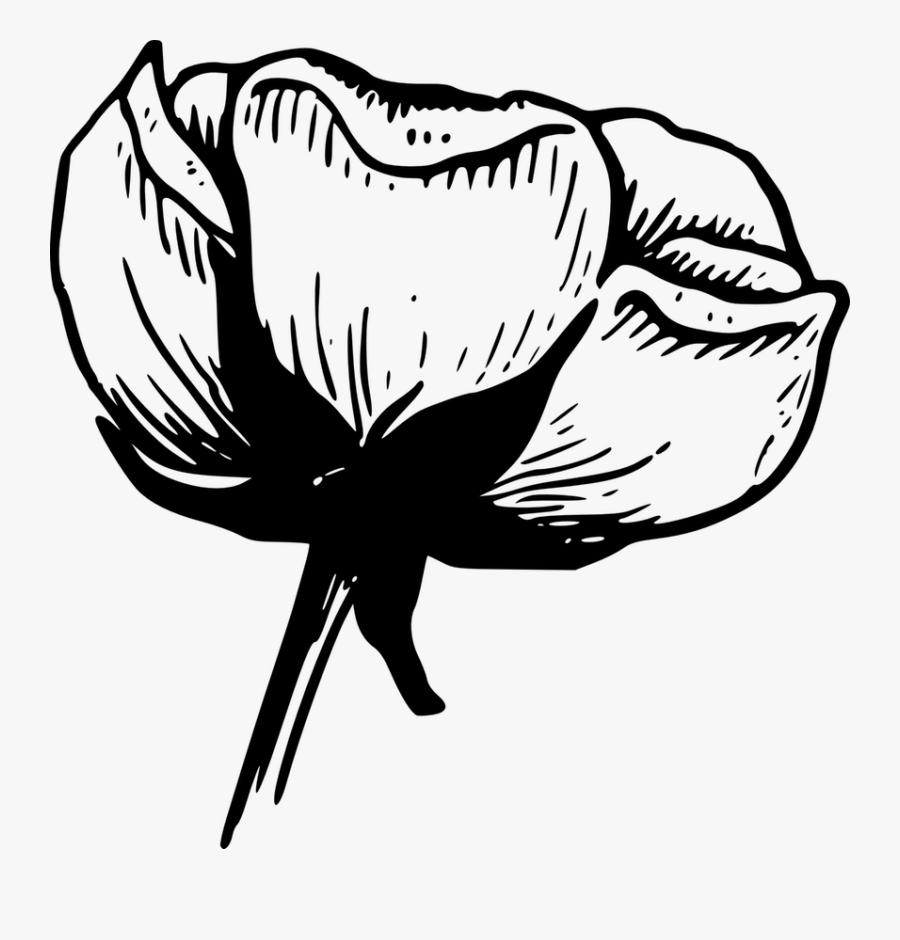 Free Black And White Clipart Garden Flowers Toublanc - Black And White Art Flowers, Transparent Clipart