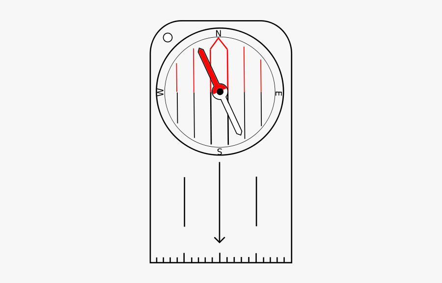 Circle, Transparent Clipart