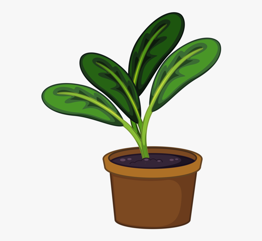 Pin By Andrea Tan - Plant In Pot Clipart Png, Transparent Clipart