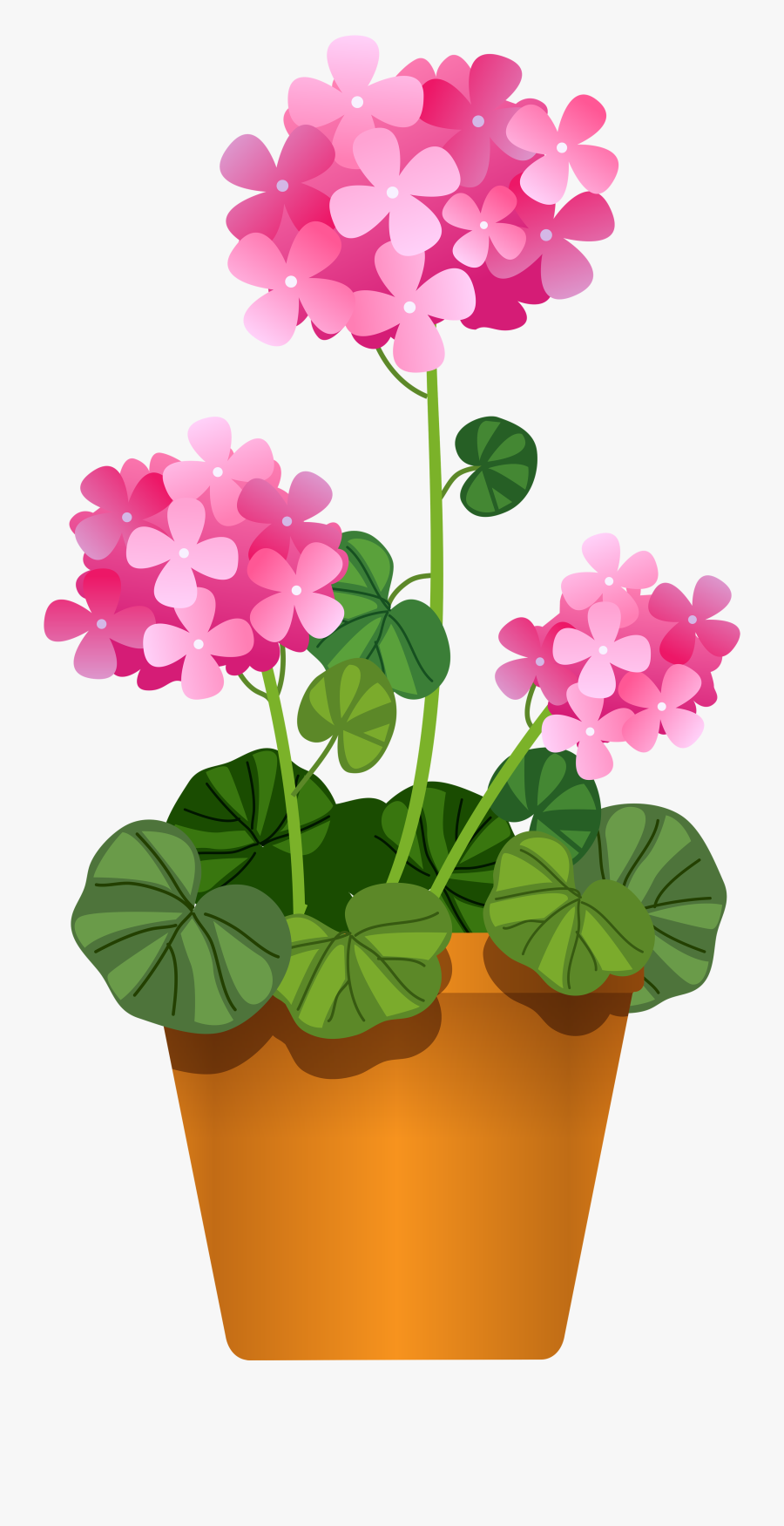 Margarita Clipart Cactus - Flower Pot Drawing Cartoon, Transparent Clipart