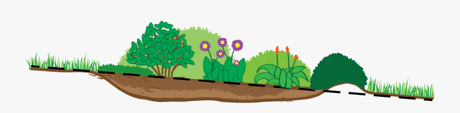Rain Garden - Rain Garden Clipart, Transparent Clipart