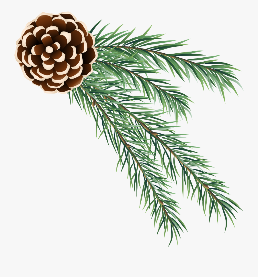 Cone Decoration Png Clip - Decorative Pine Cone Clipart, Transparent Clipart