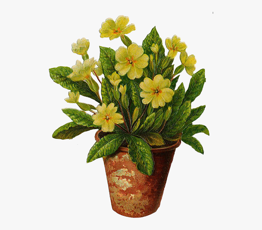 Flower Pot Clipart - Flowers In Pot Png, Transparent Clipart