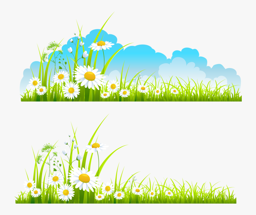 Transparent Margarita Clipart Png - Spring Volunteer, Transparent Clipart