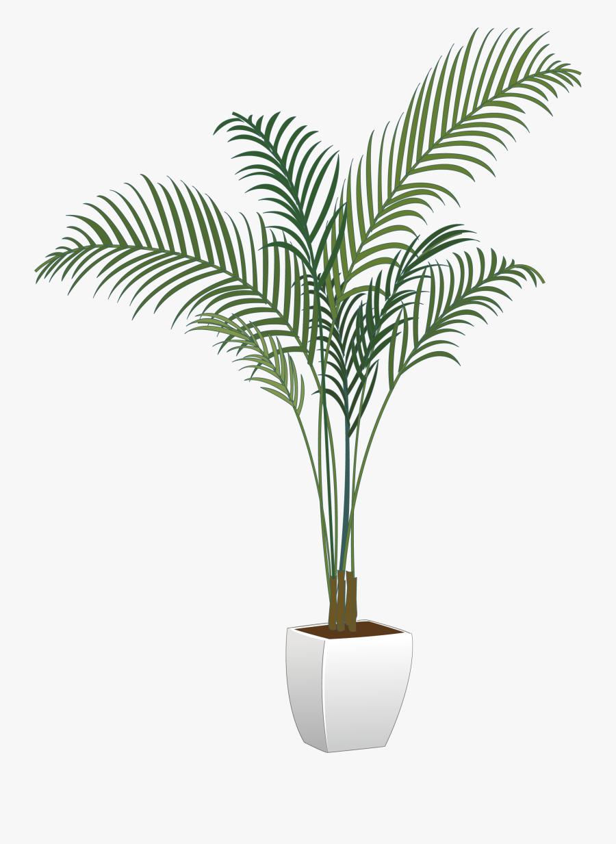 Plants Houseplant Flowerpot Arecaceae Vector Green - Transparent Potted Plant Png, Transparent Clipart