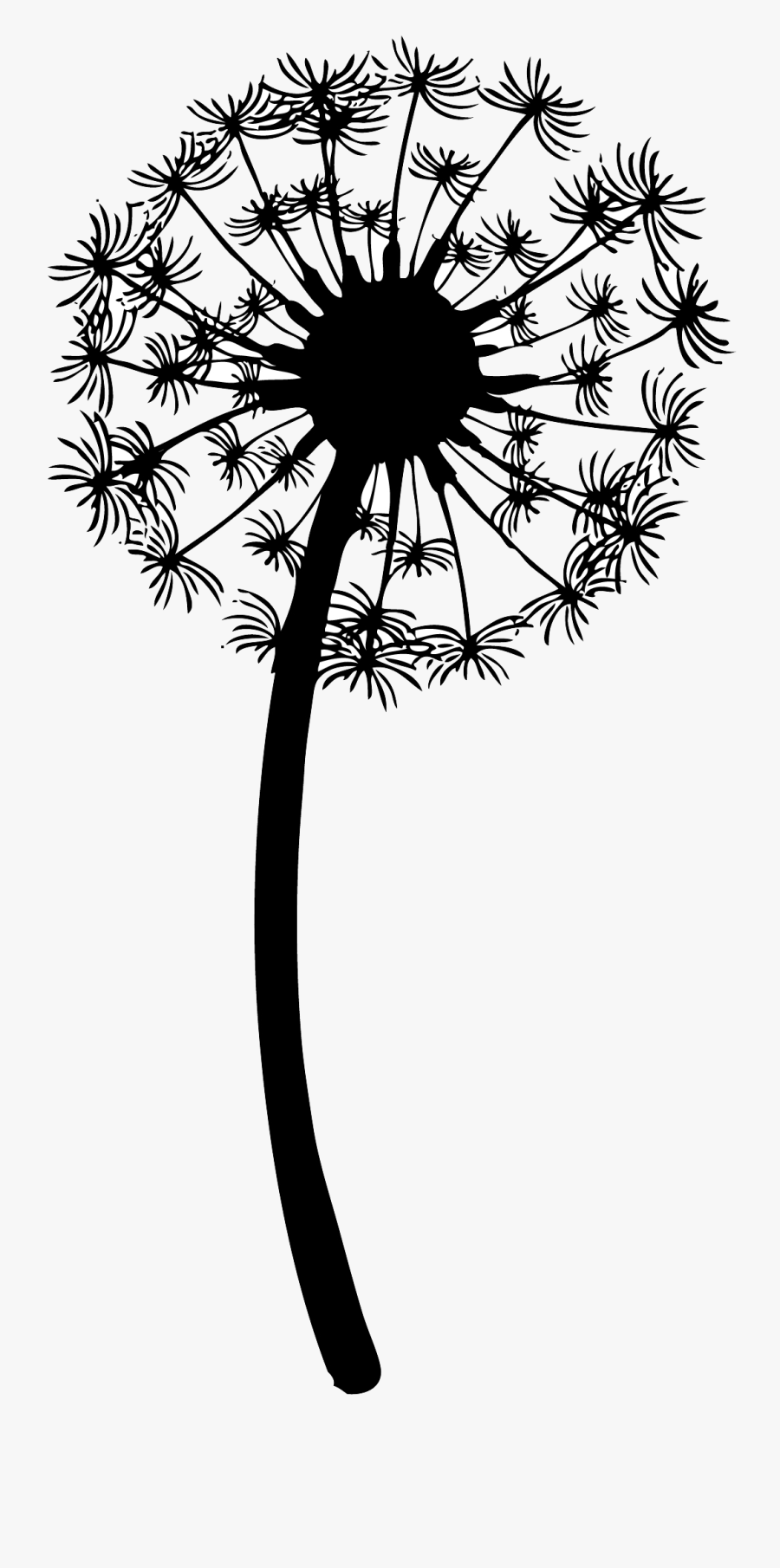 Drawing Clip Art Image Vector Graphics The Dandelion - Dandelion Drawing, Transparent Clipart