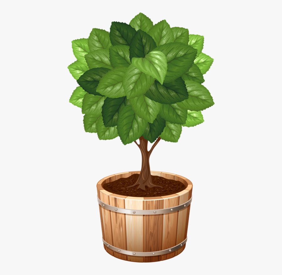 Potted Tree Clip Art, Transparent Clipart