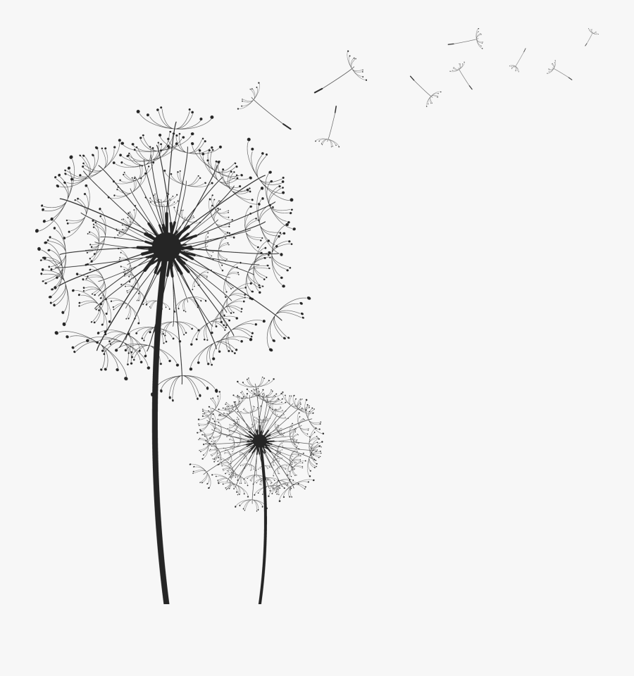 Dandelion Png Clipart - Dandelion Png, Transparent Clipart