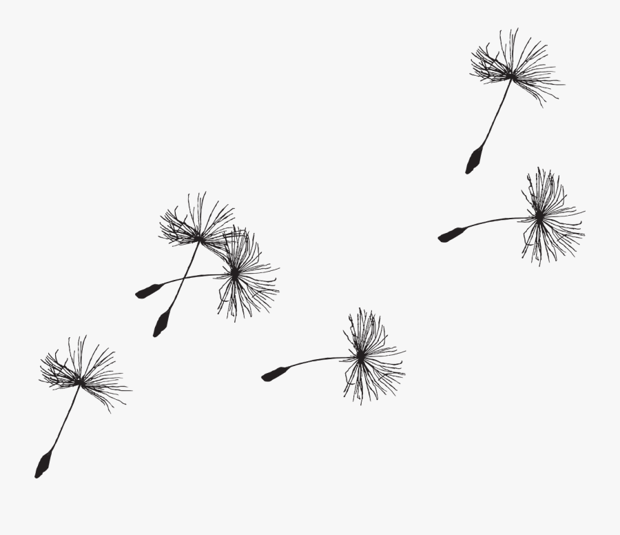 Clip Art Dandelion Blowing In The Wind Clip Art Transparent