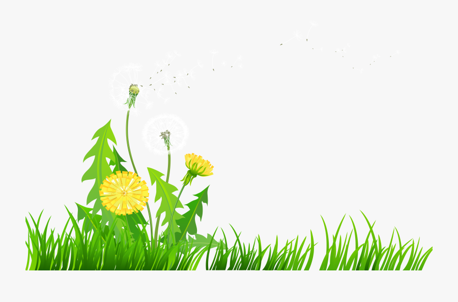 Dandelion Clipart Transparent - Dandelions Clip Art, Transparent Clipart