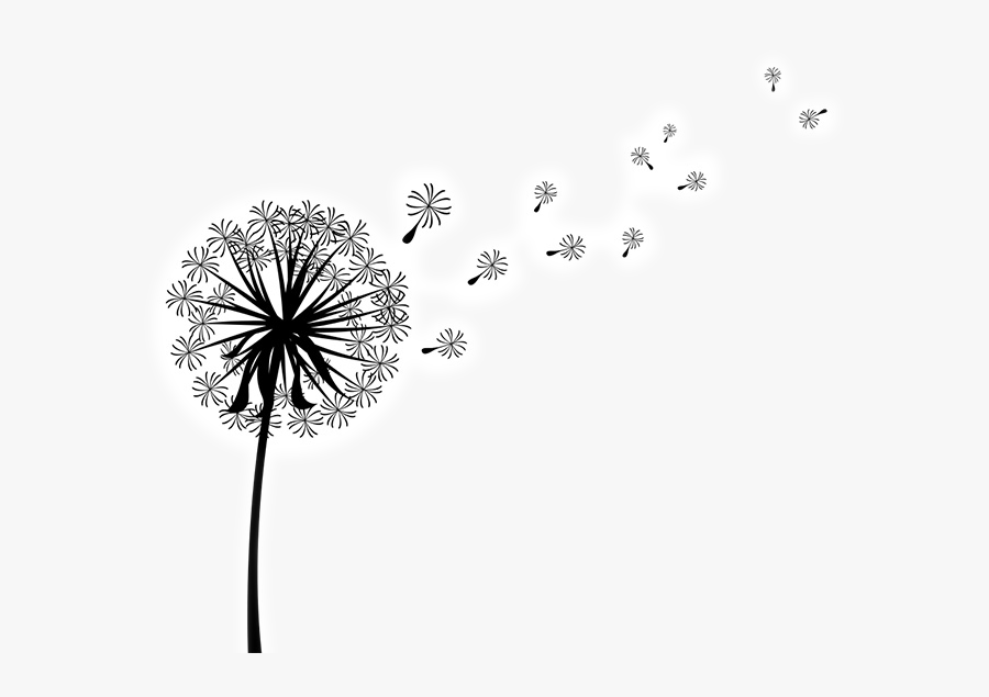 Clip Art Image Vector Graphics Dandelion Coffee - Silhouette Of A Dandelion, Transparent Clipart