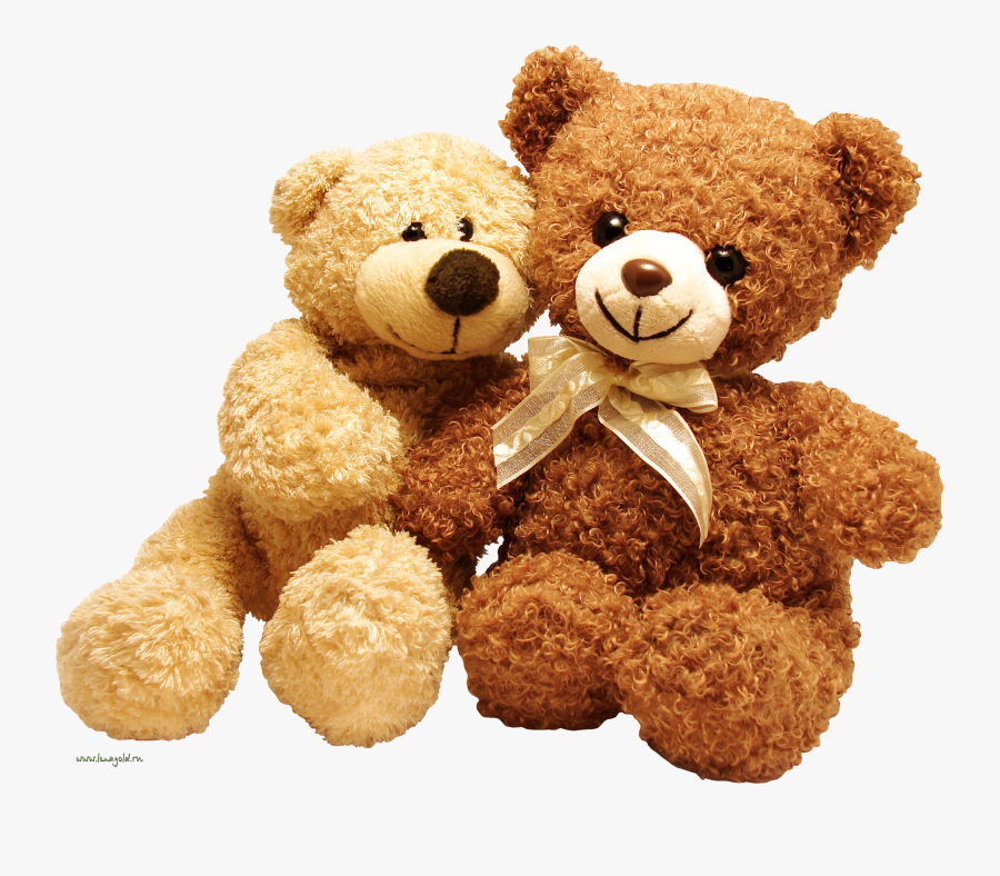 Download Bear Free Png Photo Images And Clipart - Teddy Bears Transparent Background, Transparent Clipart